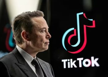 tiktok elon musk