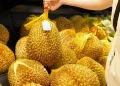 Thailand Durian