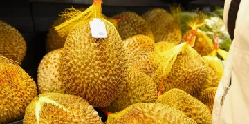 Thailand Durian