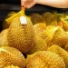 Thailand Durian