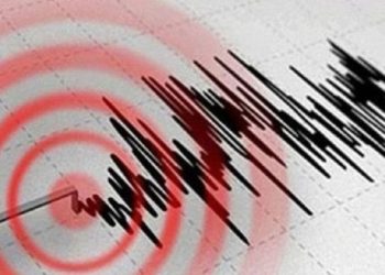 Indonesia Earthquake