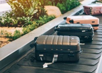 Airport Theft Syndicate