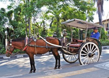 Traditional Transport West Java
