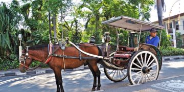 Traditional Transport West Java