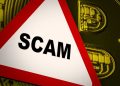 Crypto Scam