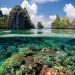 Indonesia Marine Conservation