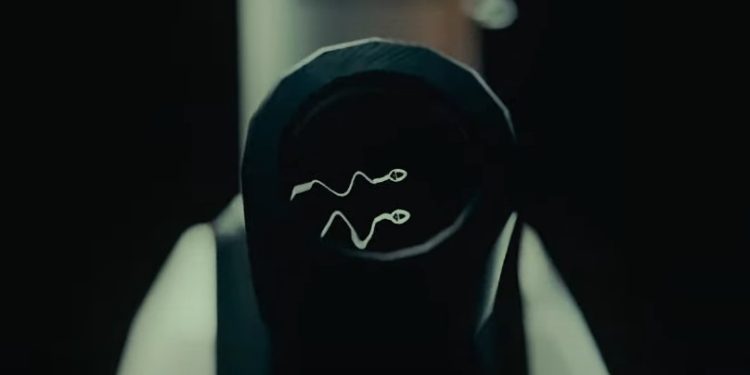 Sperm Race