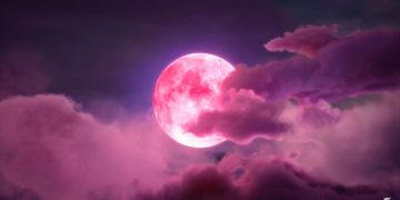 Pink Moon