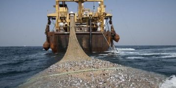 Illegal Fishing Natuna