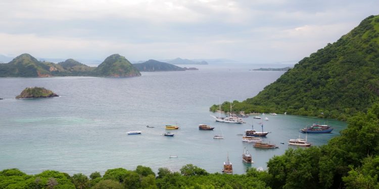 Marine Businesses