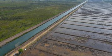 Rice Planting Acceleration