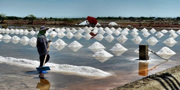 Salt Self-Sufficiency