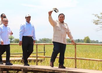 Indonesia's Rice Production