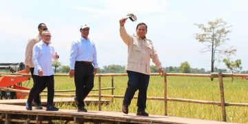 Indonesia's Rice Production