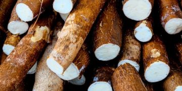 Cassava Imports