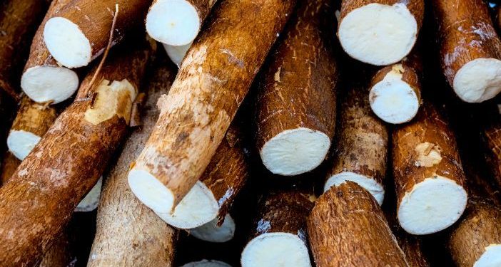 Cassava Imports