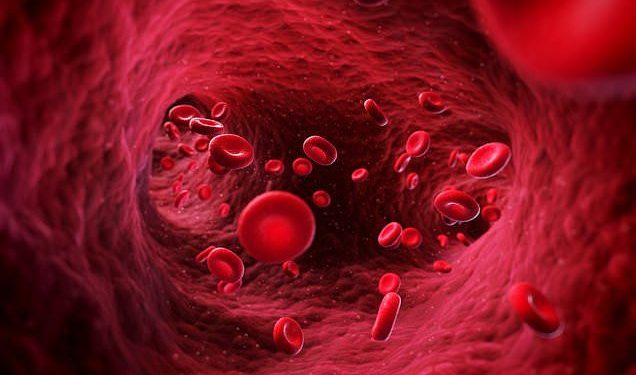 Blood Cancer Indonesia