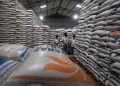 Rice Stockpile