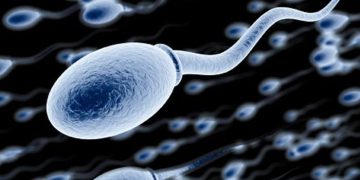 Men birth control pill