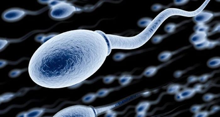 Men birth control pill