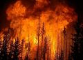 Sumatra Forest and Land Fires