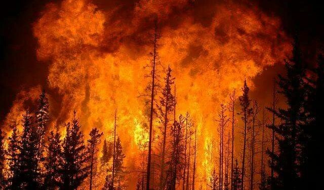 Sumatra Forest and Land Fires
