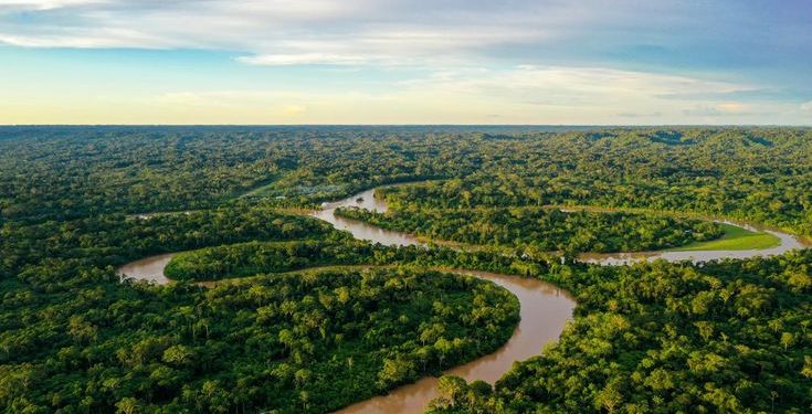 Amazon Rainforest