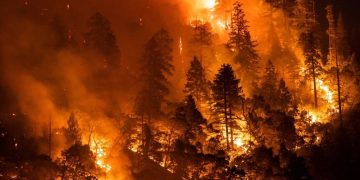 Riau Forest and Land Fire