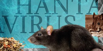 Hantavirus