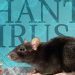 Hantavirus