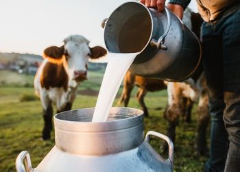 dairy self-sufficiency