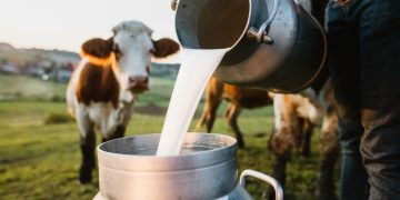 dairy self-sufficiency
