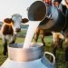 dairy self-sufficiency