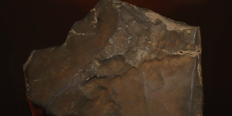 Martian Meteorite