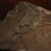 Martian Meteorite