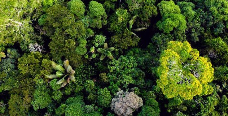 Biodiversity