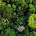 Biodiversity