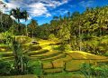 Ubud