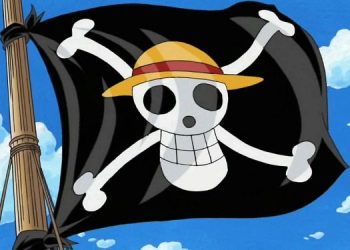 One Piece Flag