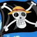 One Piece Flag
