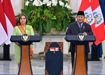 Indonesia Peru Partnership
