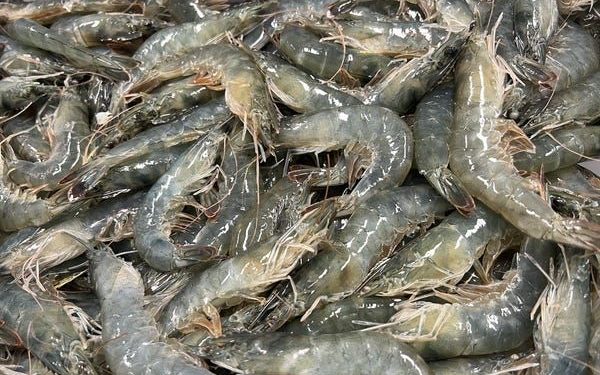 Indonesian Shrimp