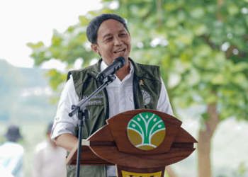 Indonesia Carbon Credit