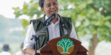 Indonesia Carbon Credit