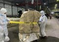Cikande Cesium Contamination